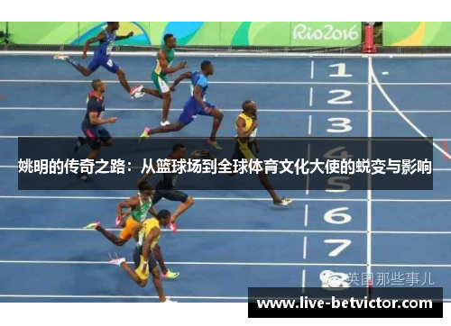 姚明的传奇之路：从篮球场到全球体育文化大使的蜕变与影响