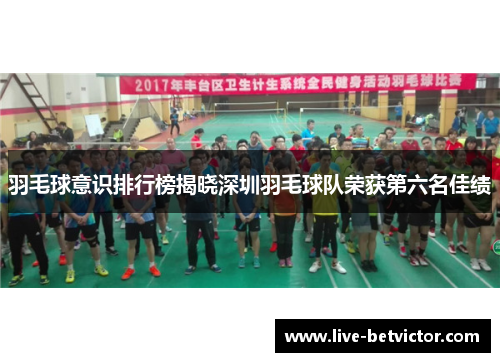 羽毛球意识排行榜揭晓深圳羽毛球队荣获第六名佳绩