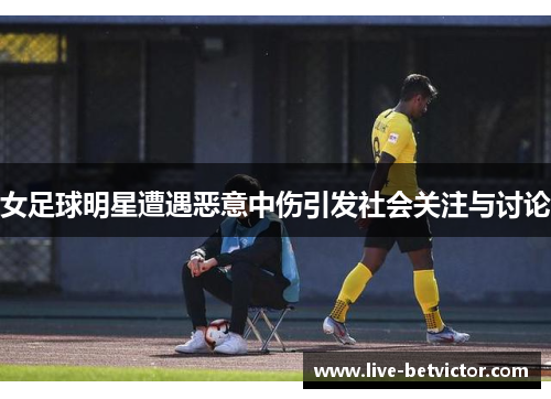 女足球明星遭遇恶意中伤引发社会关注与讨论